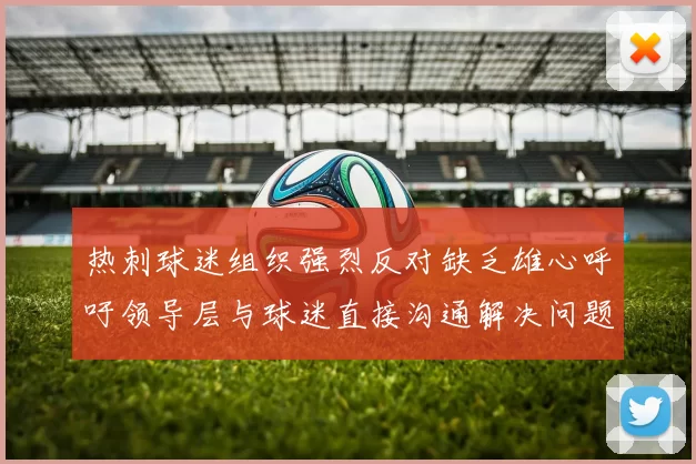 热刺球迷组织强烈反对缺乏雄心呼吁领导层与球迷直接沟通解决问题