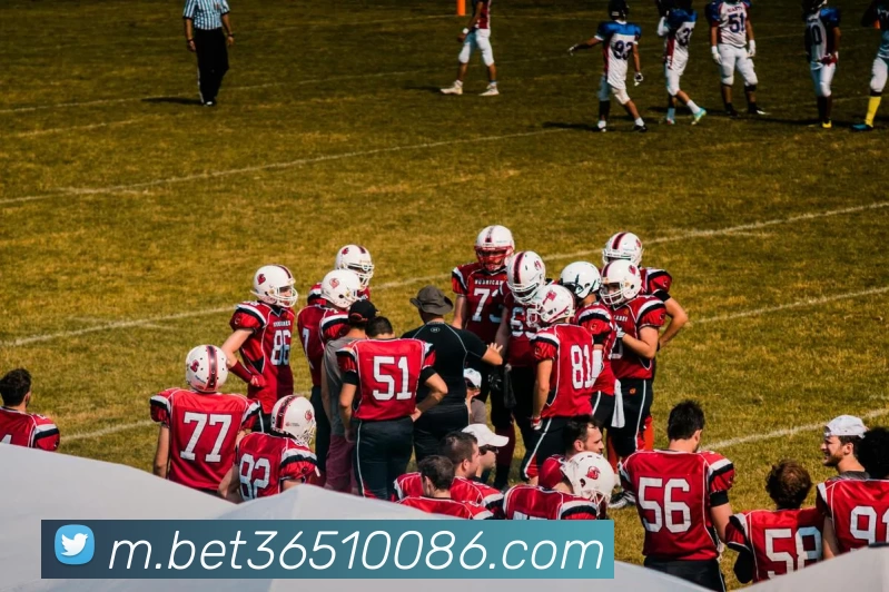 bet365平台生态图